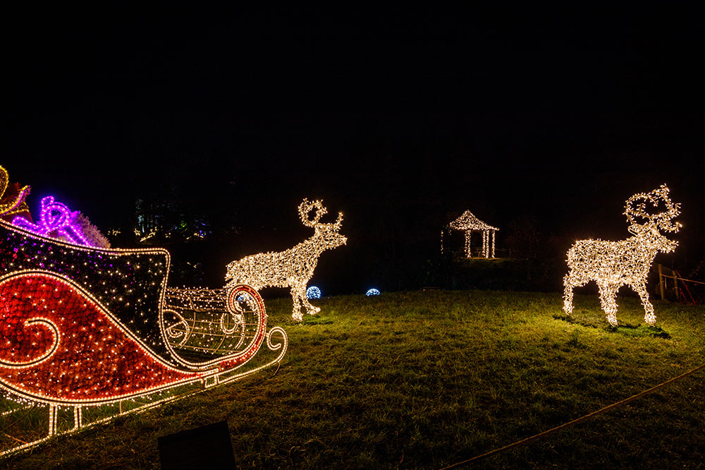 Christmas Garden Berlin – lassen Sie sich verzaubern